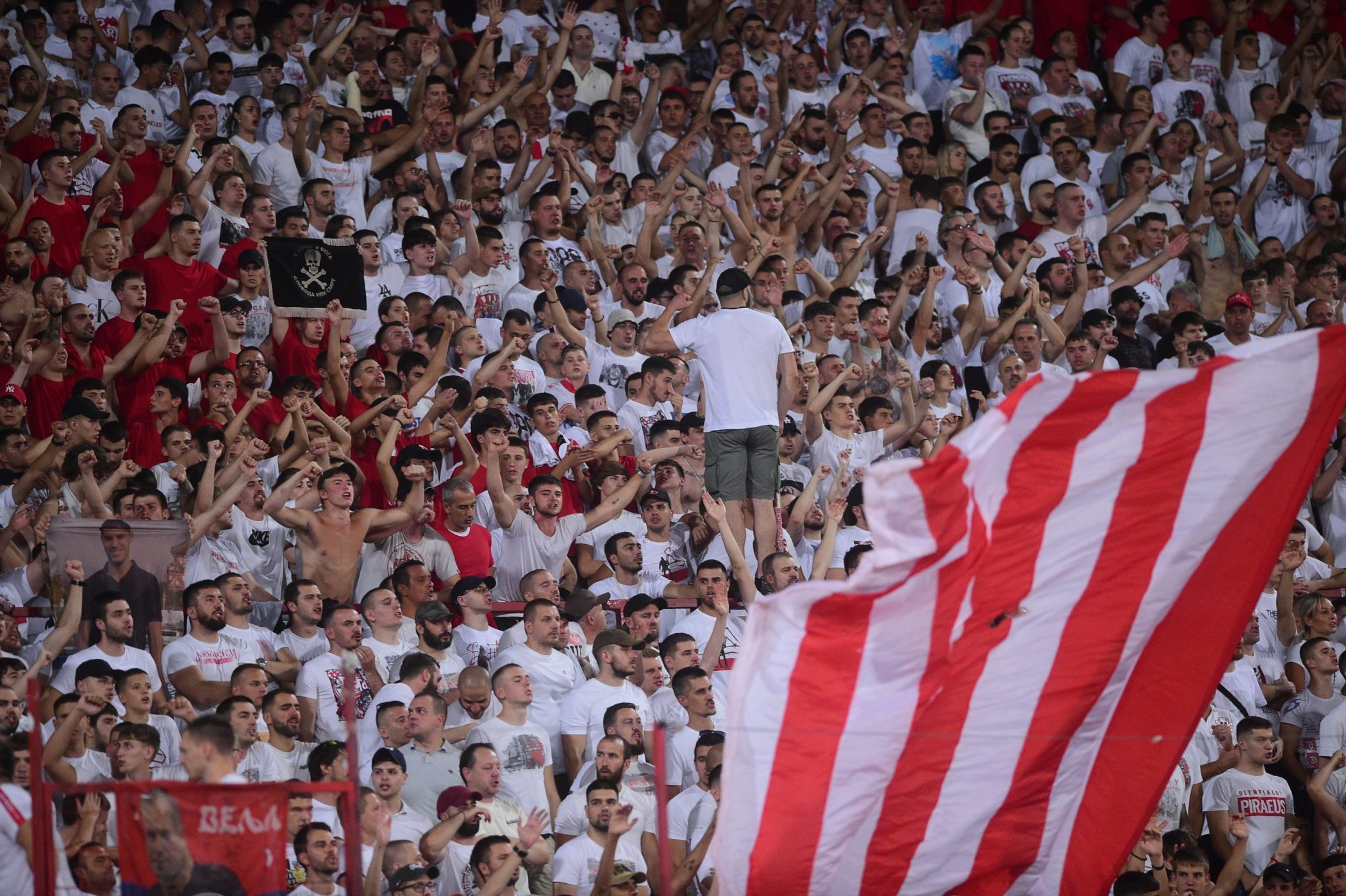 KK Crvena zvezda